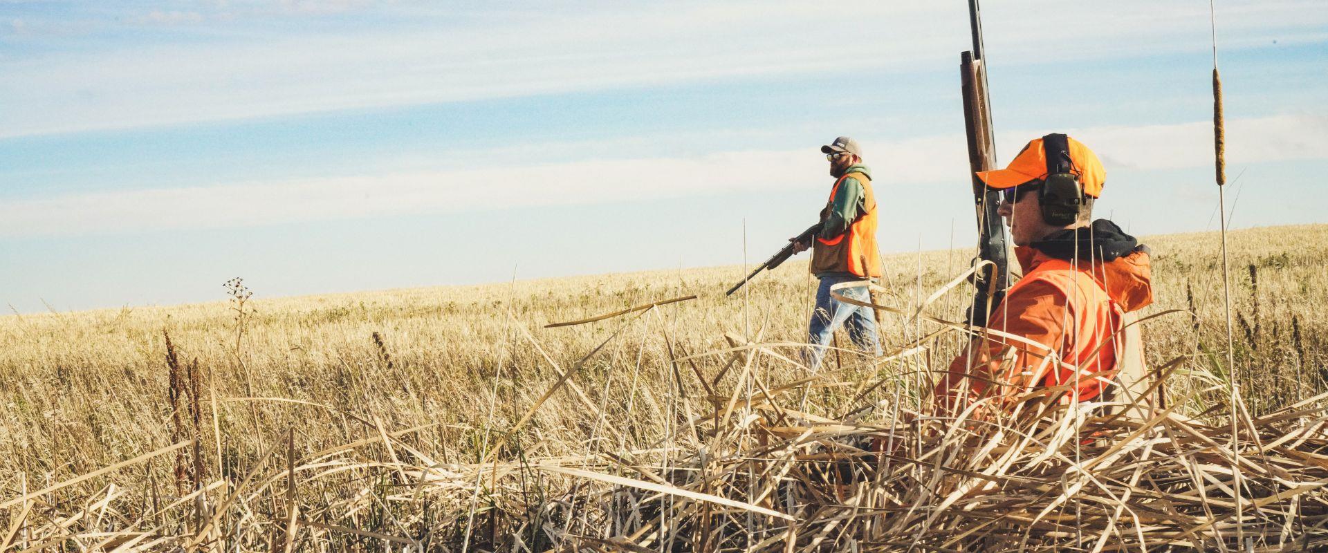 Explore the thrilling hunting opportunities in Williston, North Dakota. 