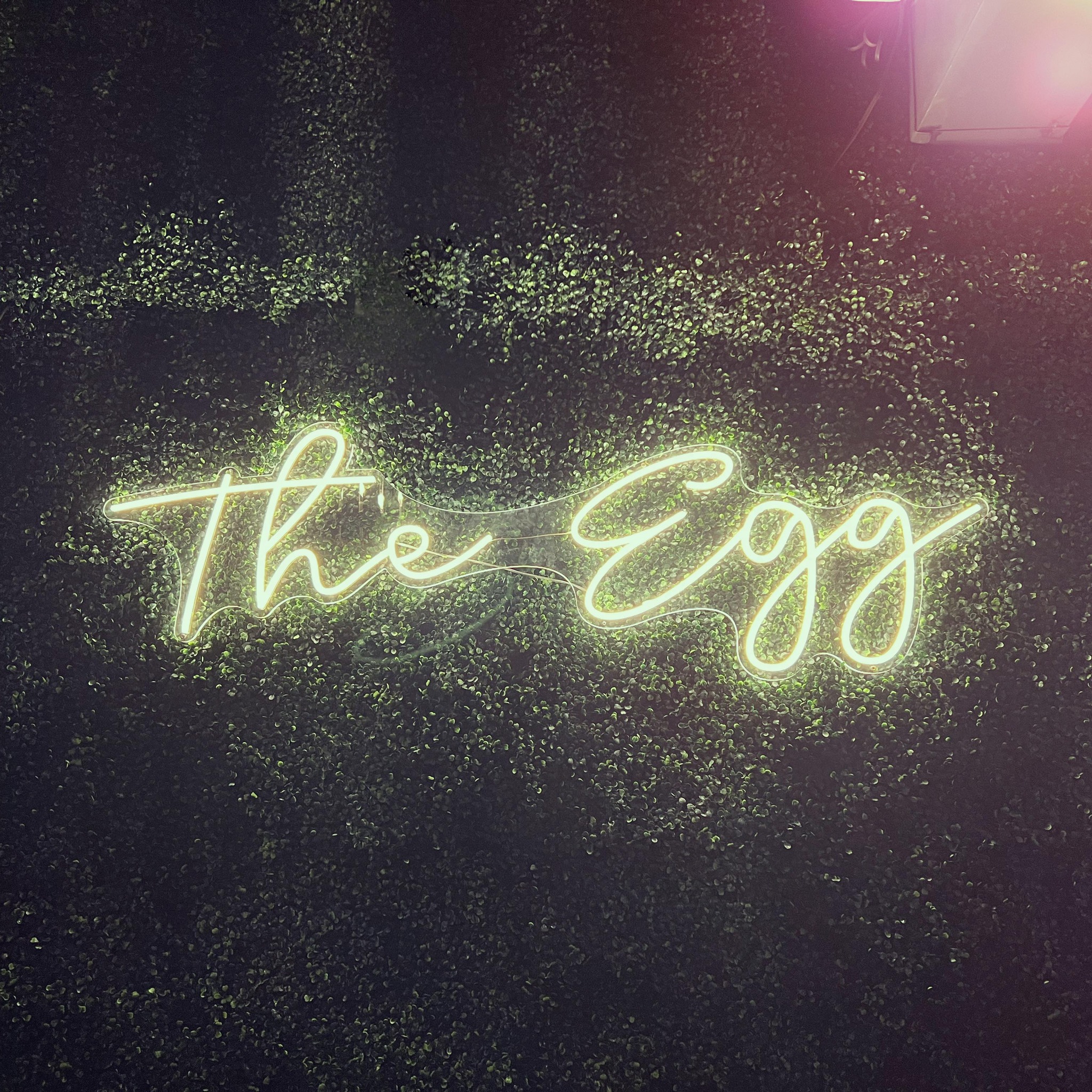 The Egg Logo