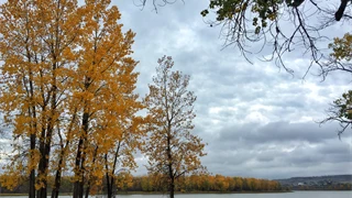 Trenton Fishing in the Fall